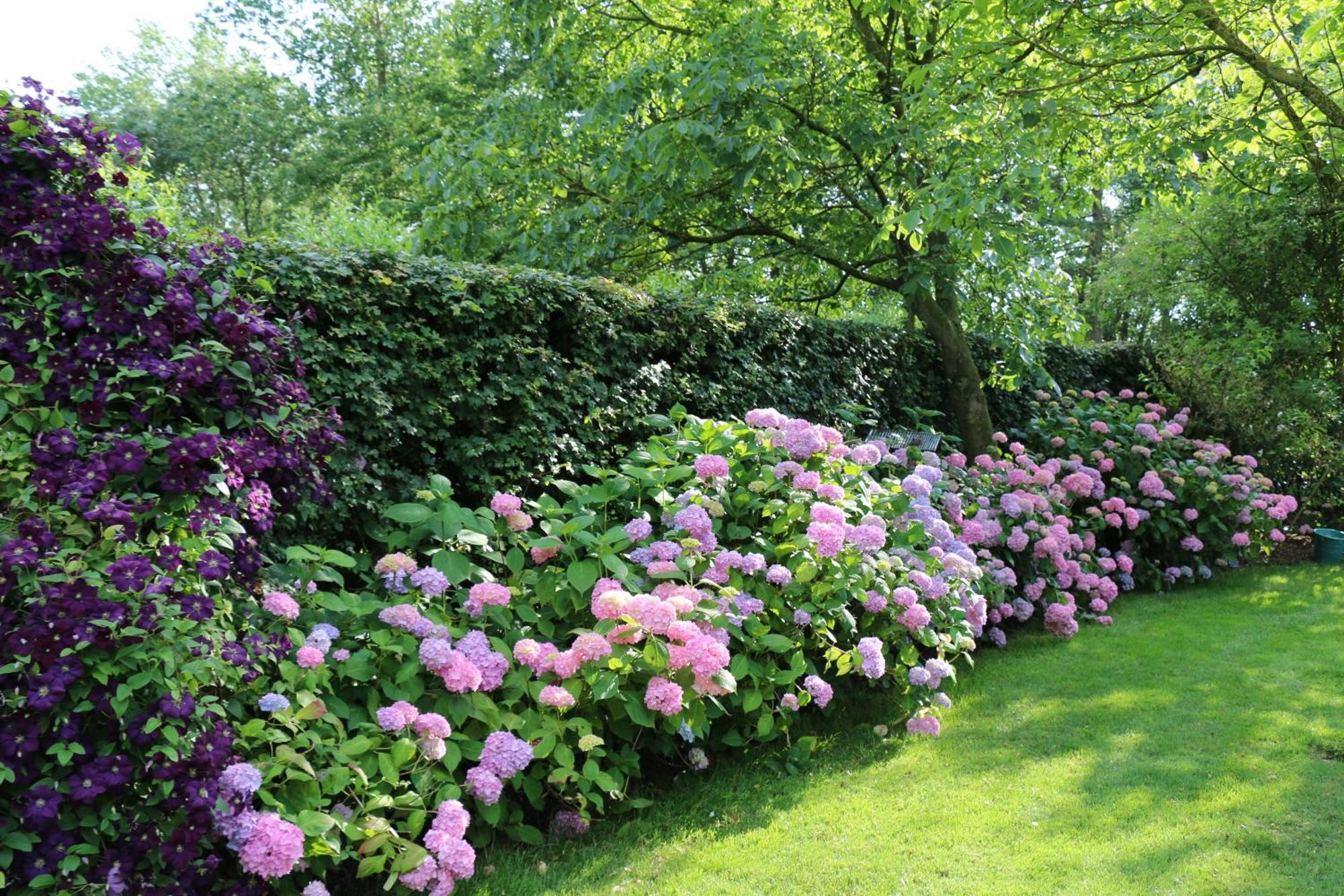 B&B Pronkenburg Brugge Dış mekan fotoğraf