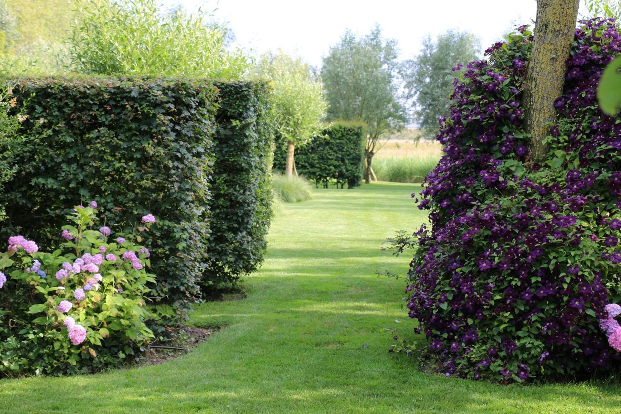 B&B Pronkenburg Brugge Dış mekan fotoğraf