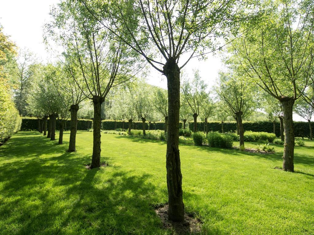 B&B Pronkenburg Brugge Dış mekan fotoğraf