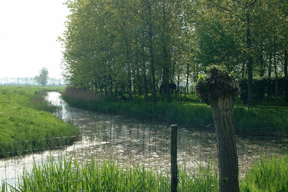 B&B Pronkenburg Brugge Dış mekan fotoğraf